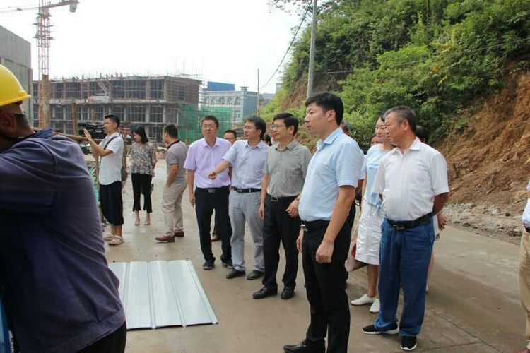 安源区开展“千名人大代表环保行”暗访活动