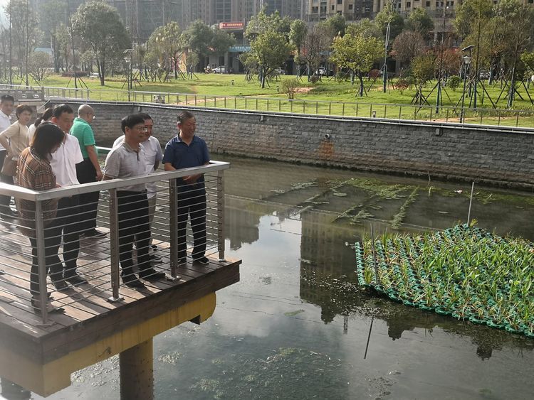 安源区人大常委会对“千名人大代表环保行”活动发现问题进行督办