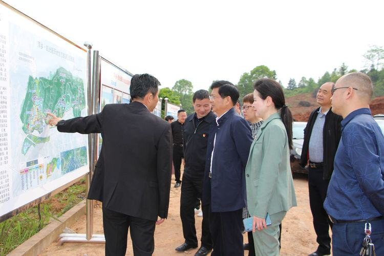 区人大常委会开展全区乡村旅游工作专题视察