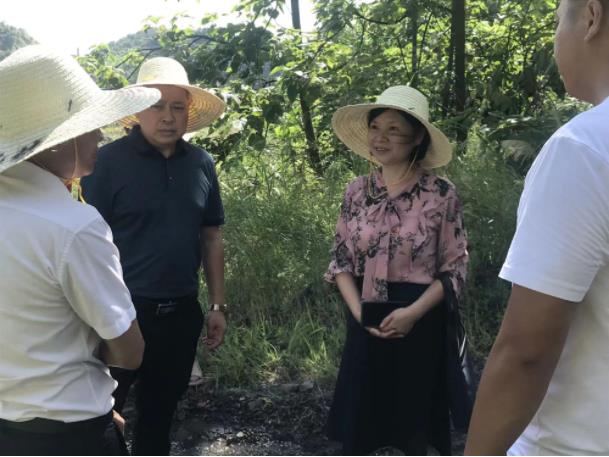 区人大常委会到高坑镇开展2022年“环保萍乡行”、“物业社区行”活动